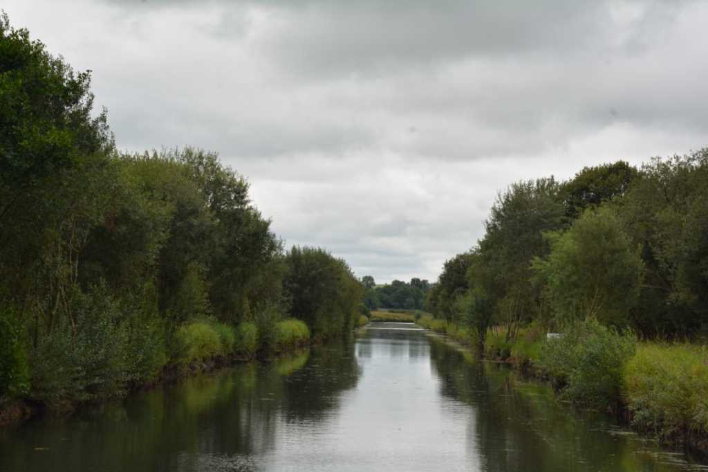DSC_6321Mittel_.JPG
